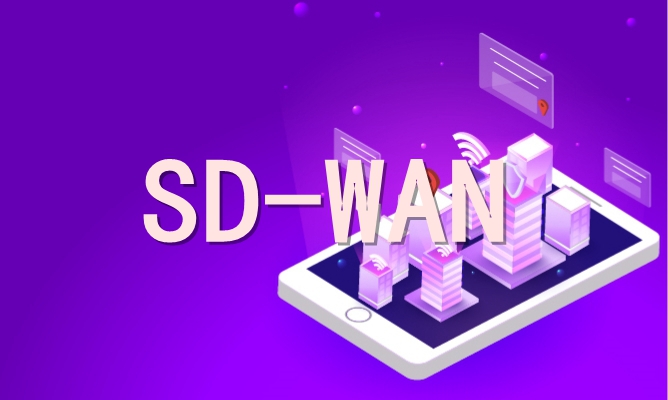 03SD-WAN668.jpg